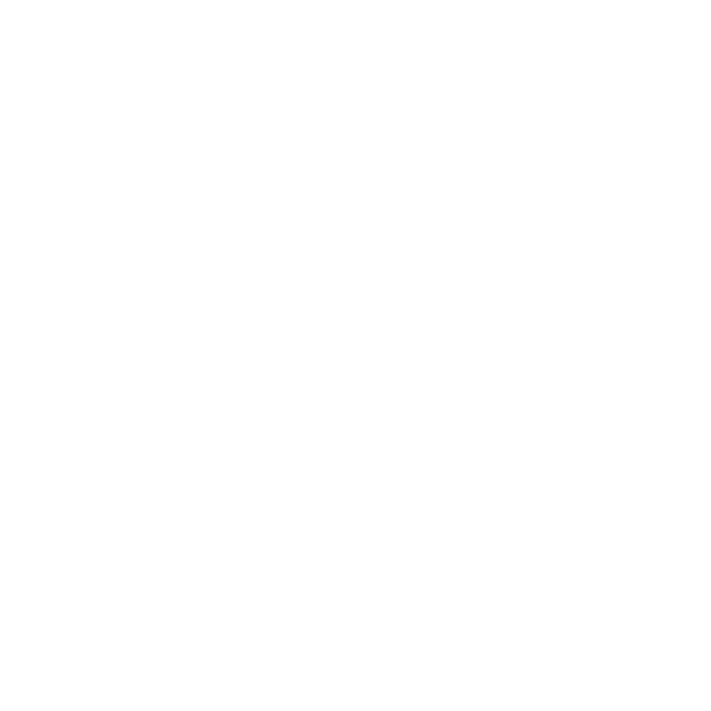 wordpress agency partner