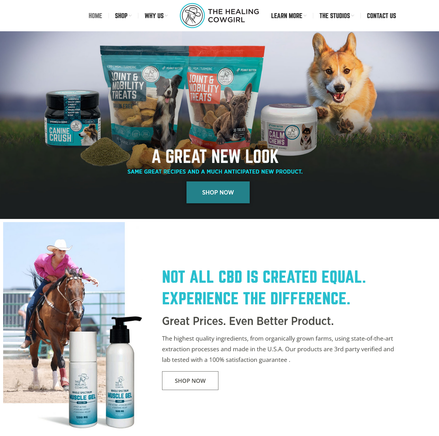 Website Design and WordPress Development services - Scranton, PA
